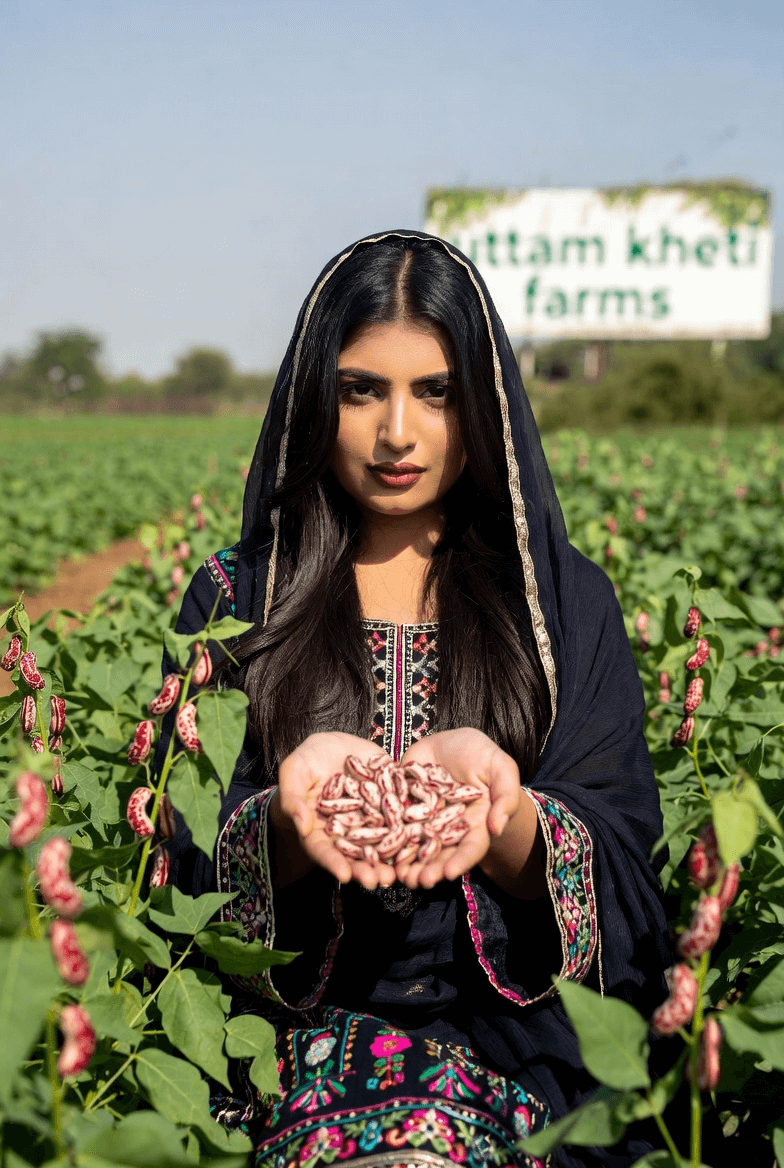 chitra-rajma-fields White kidney beans organic farms uttam kheti