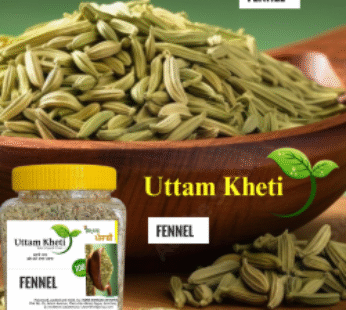 Uttam kheti saunf