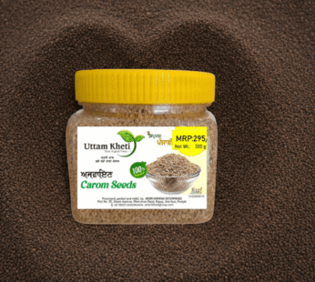 Carom seeds – ajwain – Uttam kheti