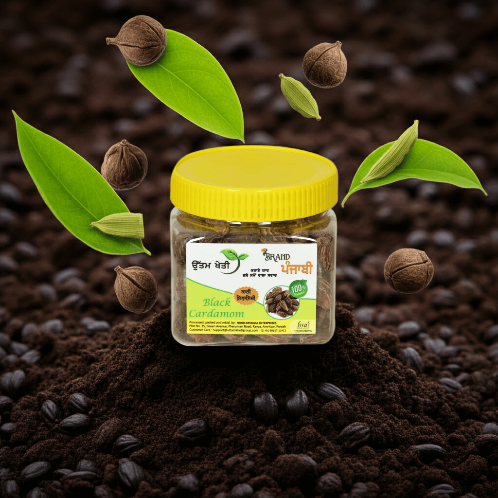 organic-badi-elaichi-whole organic black cardamom whole online india large pods