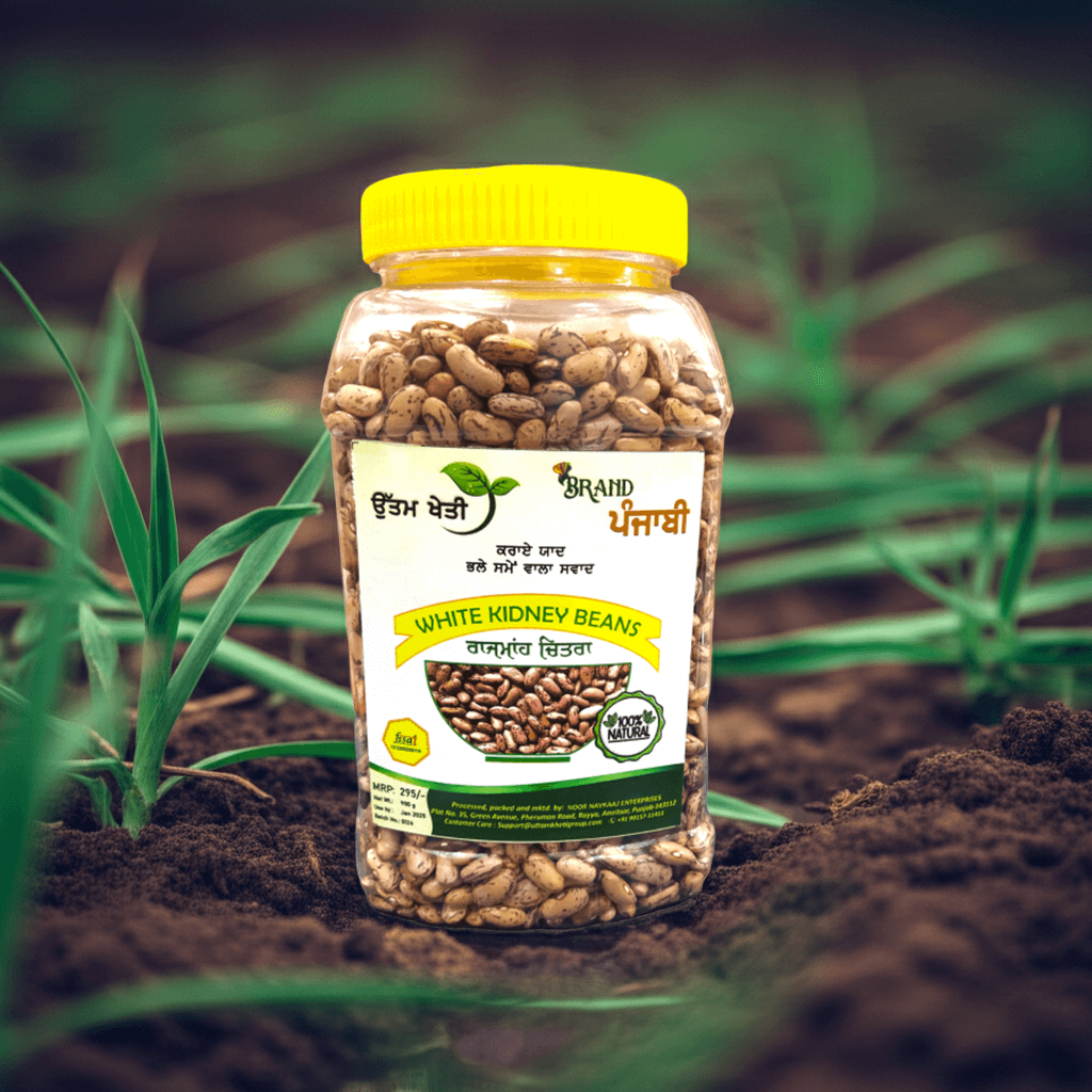 organic-chitra-rajmah Premium white kidney beans Chitra Rajmah closeup farm fresh