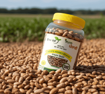 Chitra Rajmah – white kidney beans – Uttam kheti