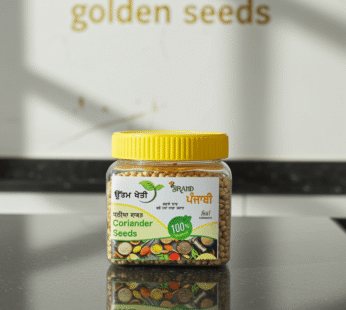 dhania sabat-whole coriander seeds-Uttam kheti