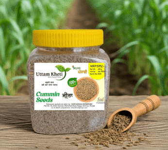 Jeera for tadka-cumin seeds | Uttam kheti