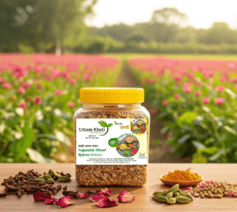 sabji masala sabat – Uttam kheti